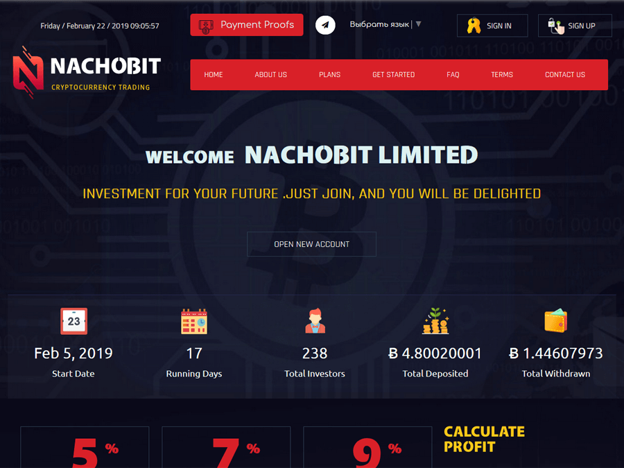 Nachobit Limited - битковый хайп с доходом от +75% за месяц, от 0.002 BTC