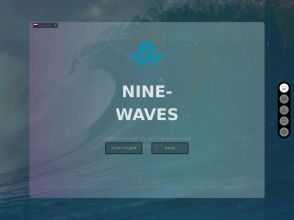 Nine-Waves - новый проект с тарифом на 81 день: 9 волн дохода, страховка