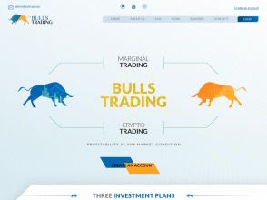Bulls Trading Ltd - доход 3% на 52 бизнес-дня (156%), фиат и крипто, от $30