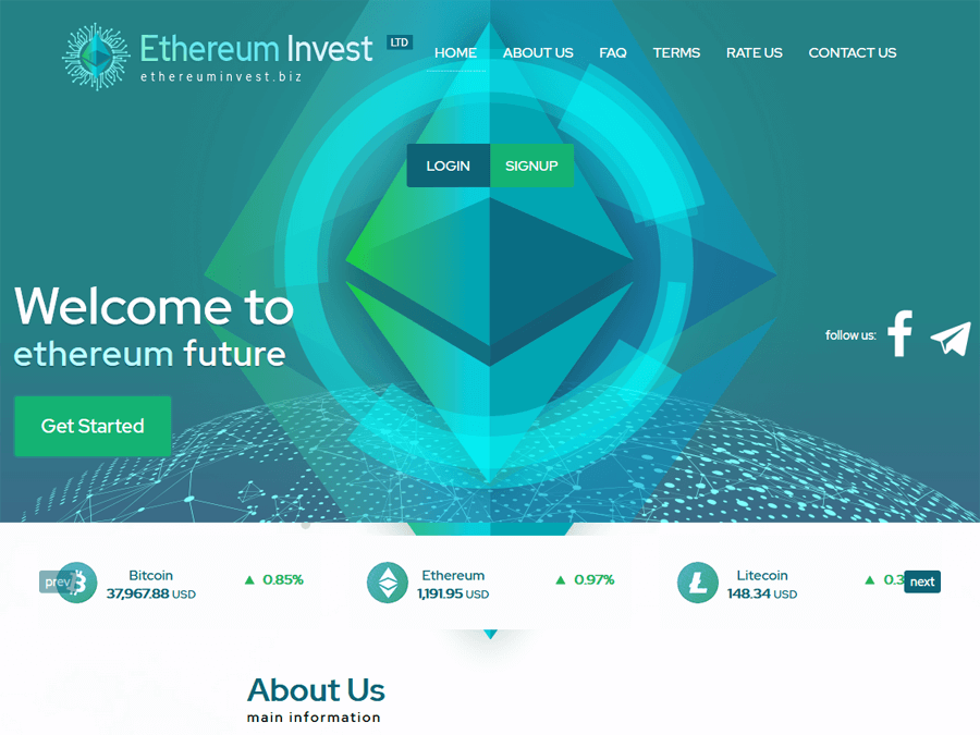 EthereumInvest - 101% - 2500% после 1 дня, партизан после ребрендинга, $10