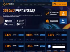 BitRise - выгодные инвестиции в биткоинах (BTC) с доходом от 10% за 24 часа