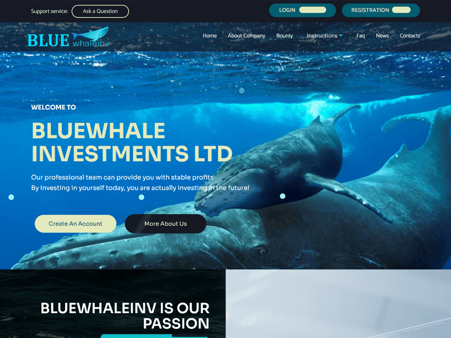 Bluewhale Investment Ltd - 11% на 11 дней, депо включен, + Страховка $300