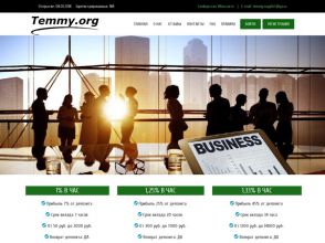 Temmy - сверхдоходные инвестиции в рублях с ежечасными выплатами